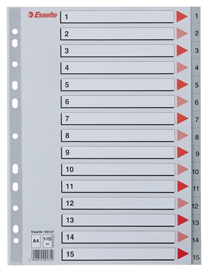 Esselte Register PP A4 1-12 szary